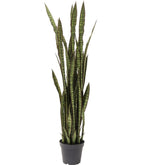 PLANT SANSEWIERIA 155CM HOME DECOR