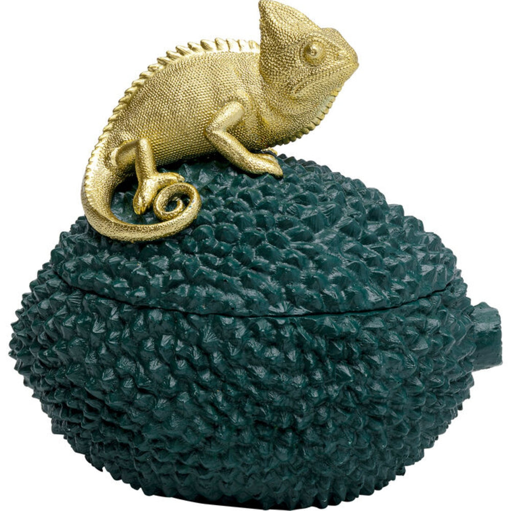 CHAMELEON BOX 20 HOME DECOR