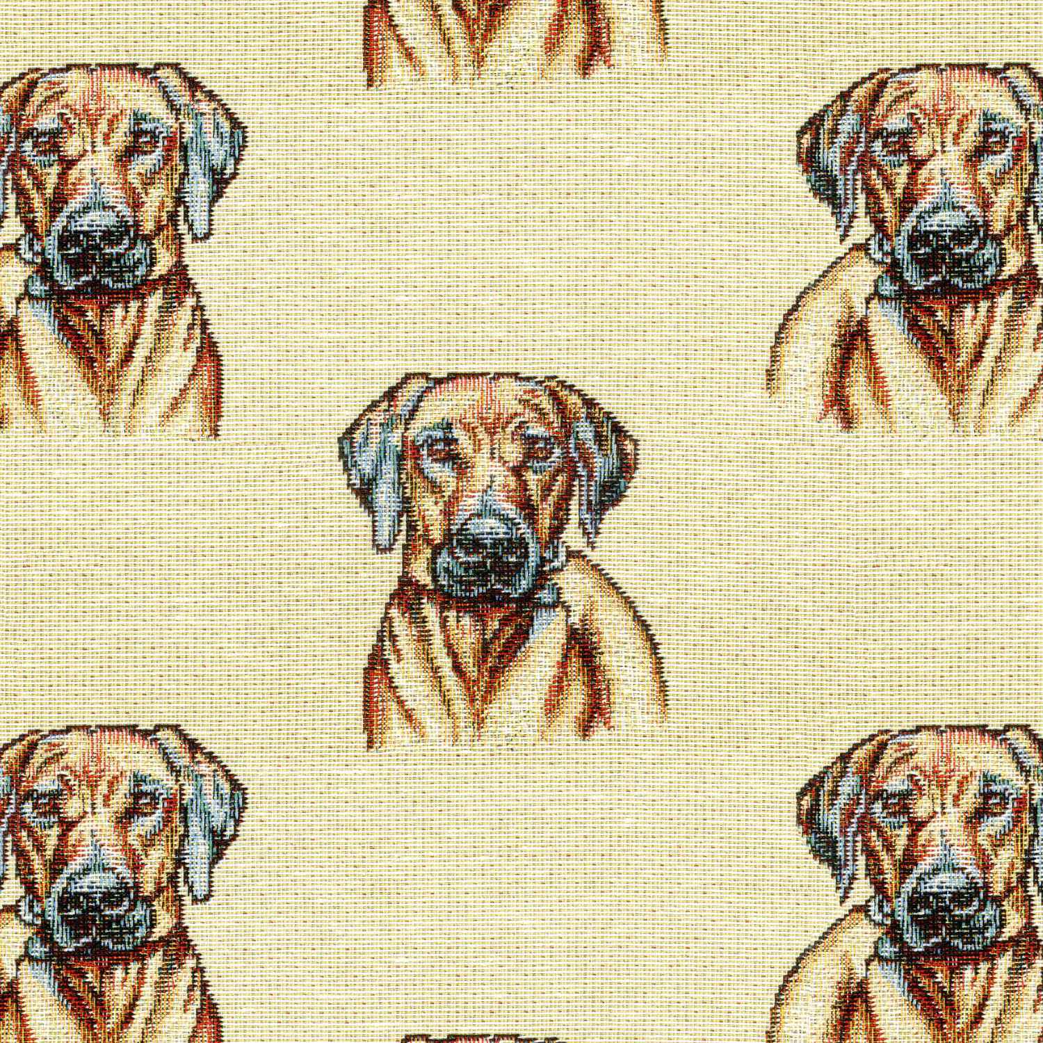 ALLOVER EQUO DOG CARICATURE SOFA FABRIC