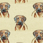 ALLOVER EQUO DOG CARICATURE SOFA FABRIC