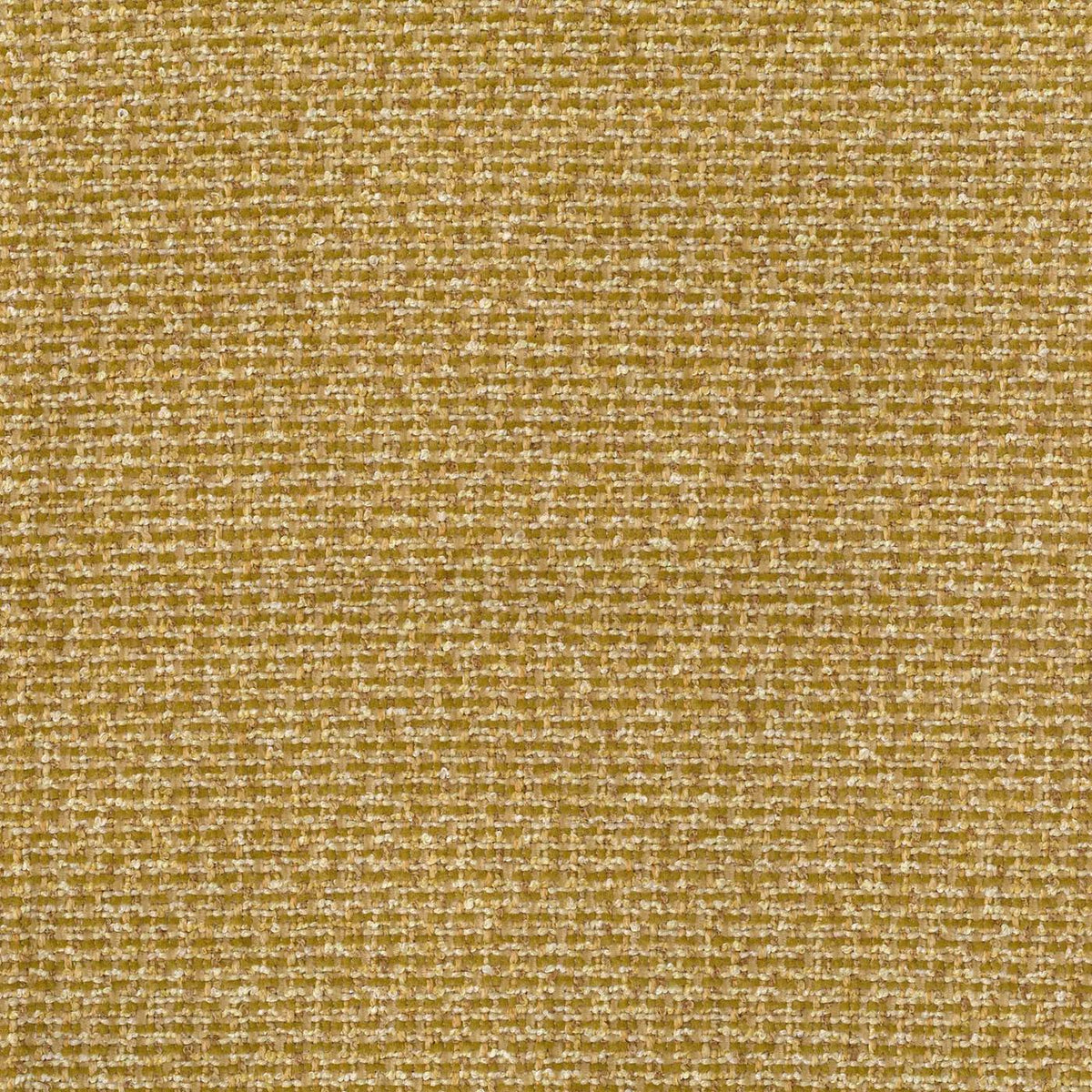 WARWICK MACLAREN CANOLA PLAIN SOFA FABRIC