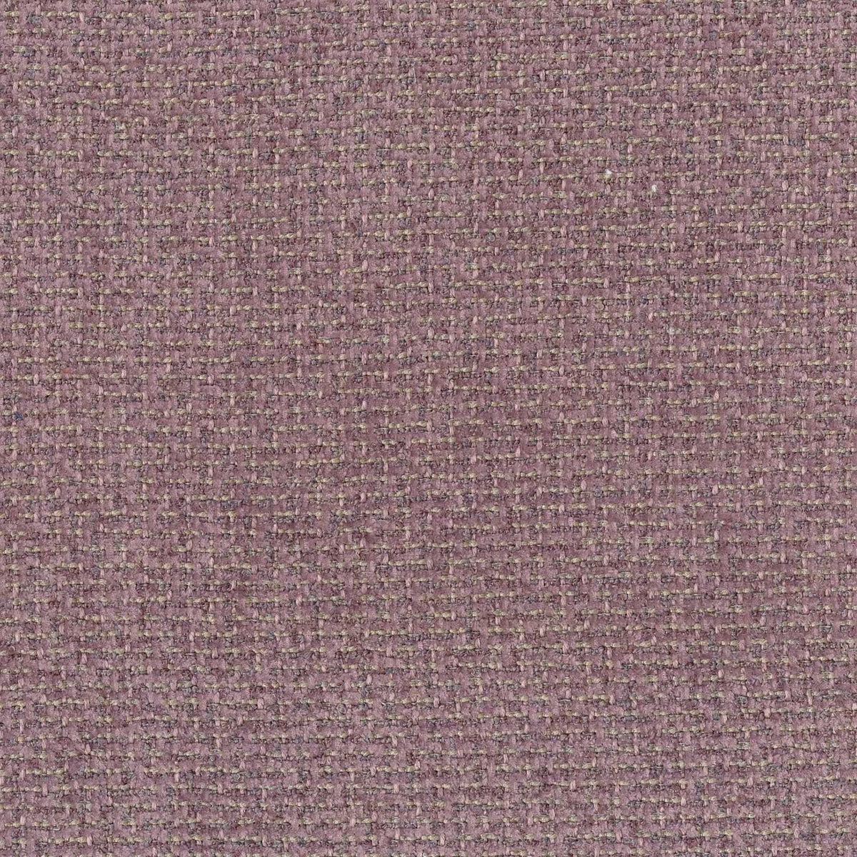 WARWICK MACLAREN LILAC PLAIN SOFA FABRIC