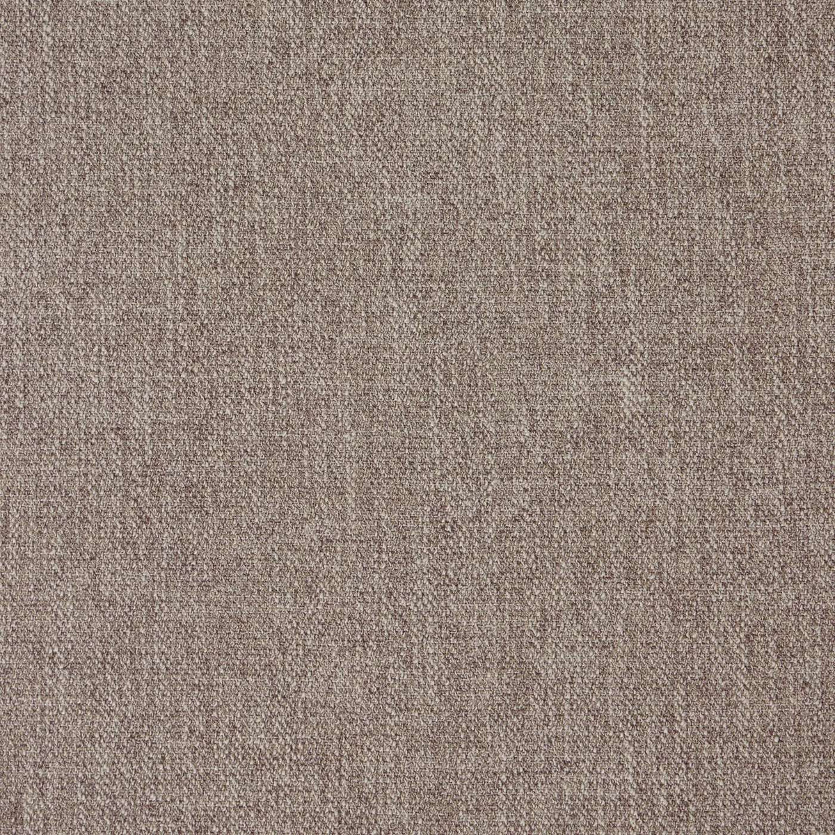 WARWICK BOYD TAUPE PLAIN CURTAIN FABRIC