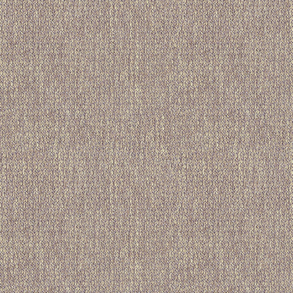 TWITTER BEIGE PLAIN SOFA FABRIC