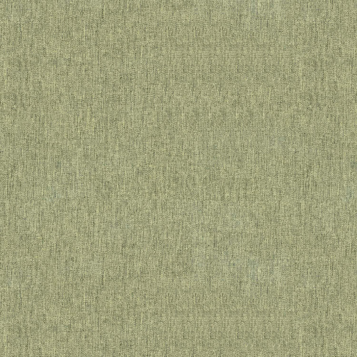 TEXTURE OLIVE GREEN ETHAN