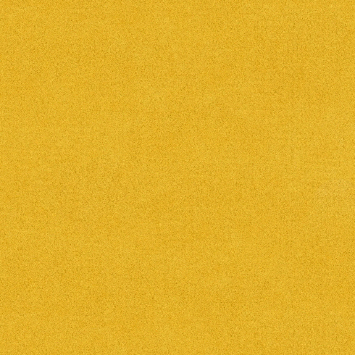 DERBY YELLOW