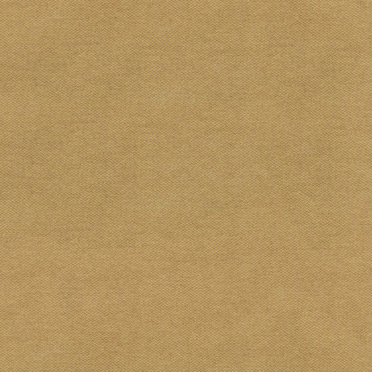 KASPER BEIGE