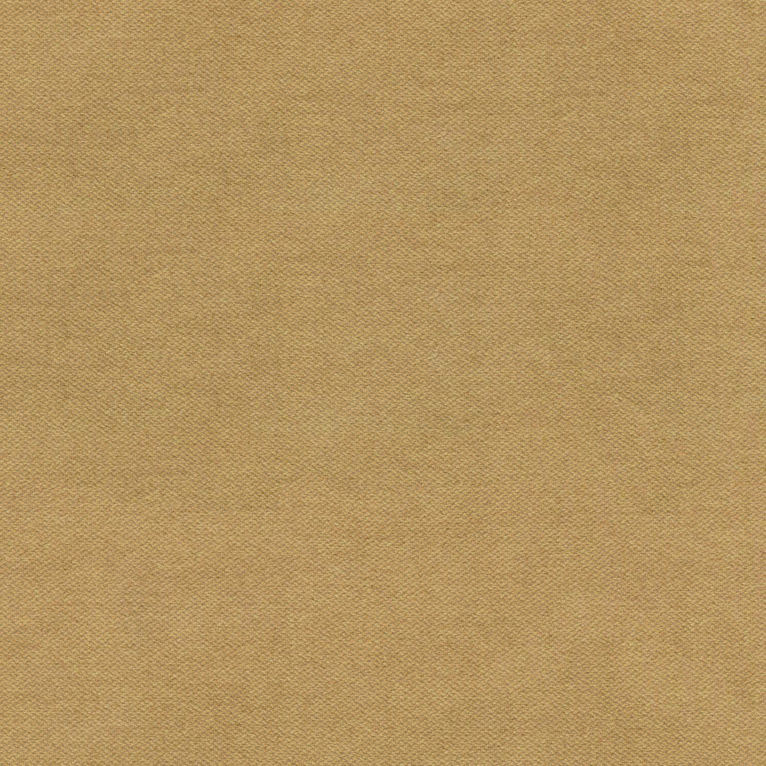 KASPER BEIGE