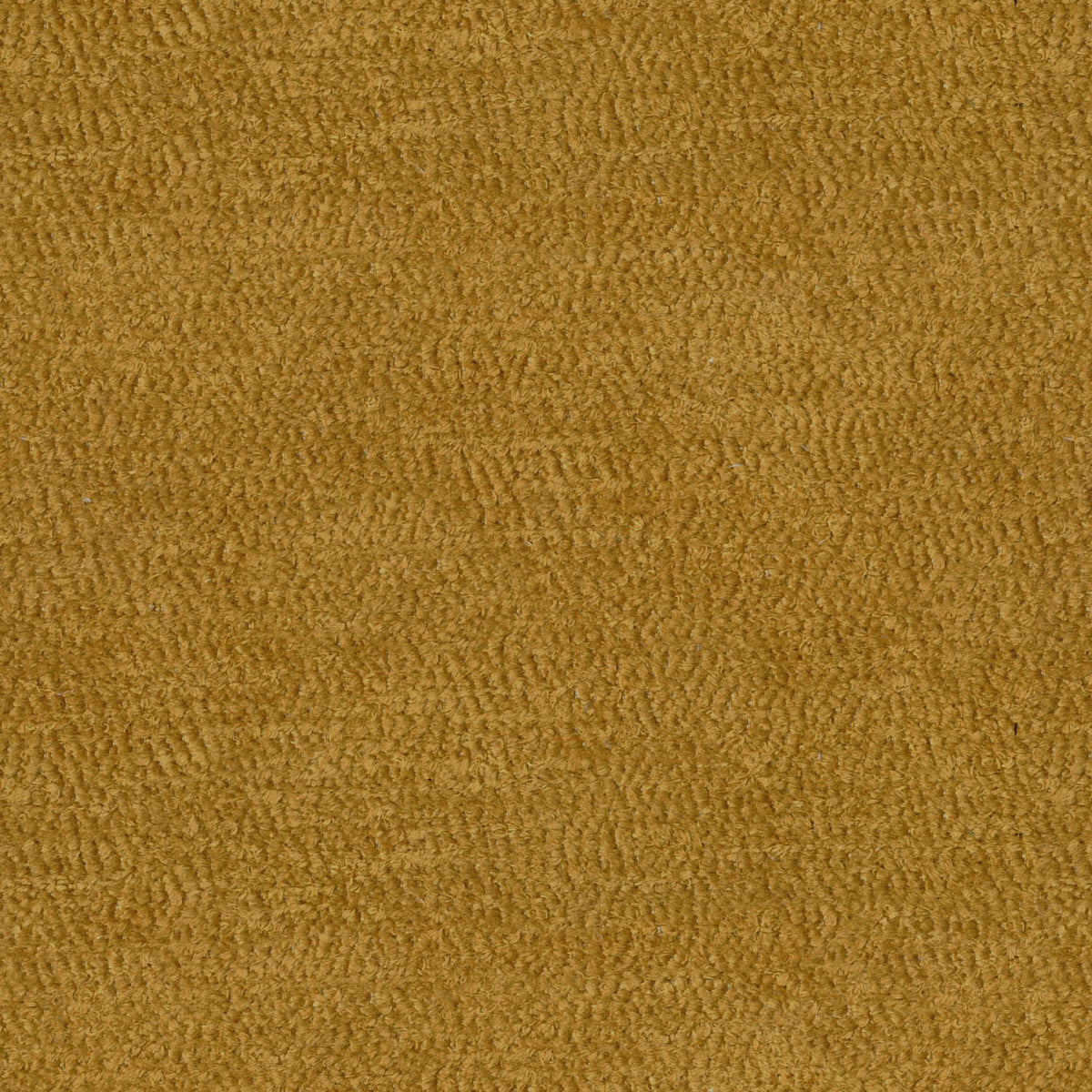 OW LIGHT GOLD TEXTURE SOFA FABRIC