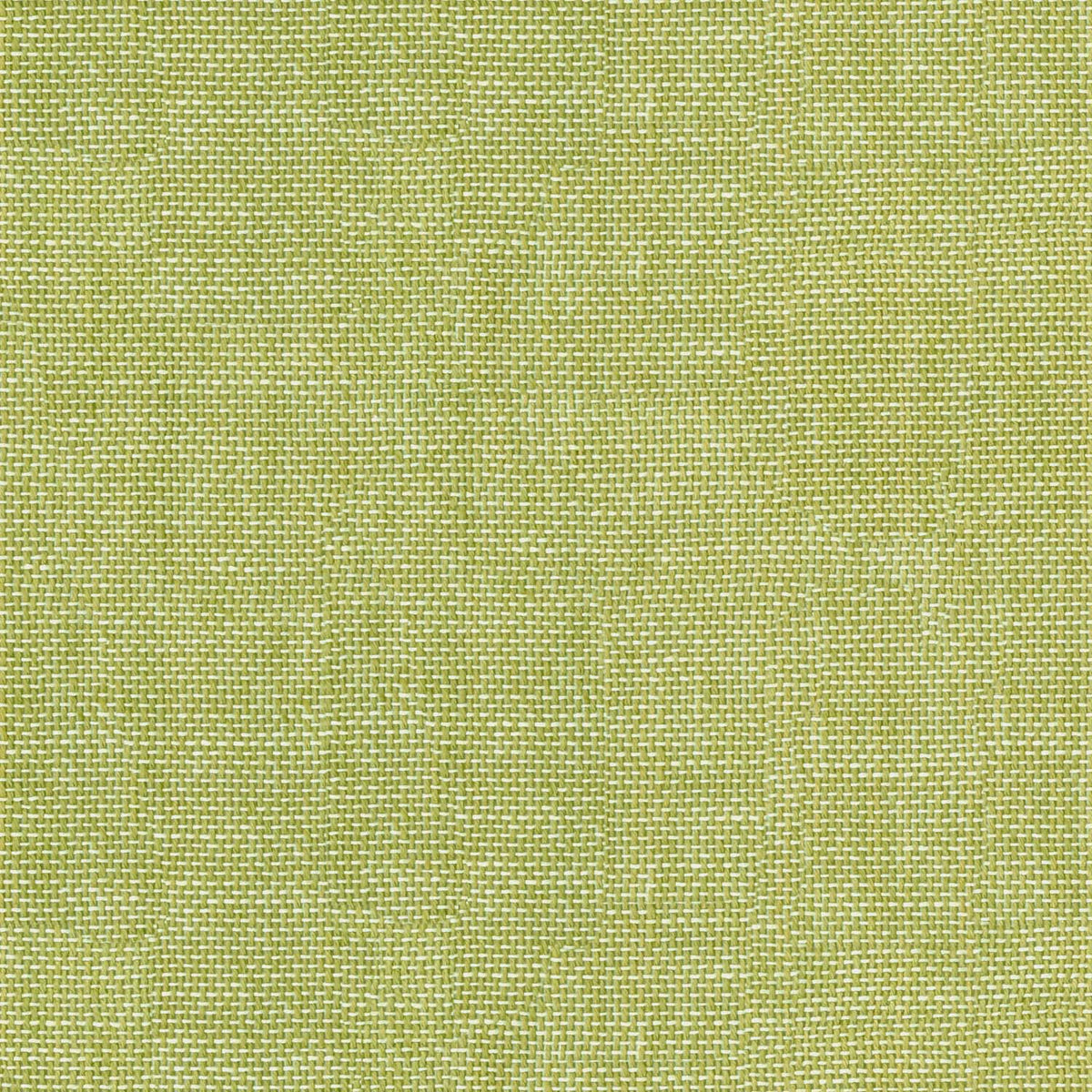 TROPIKALA NATURAL GREEN TEXTURE SOFA FABRIC