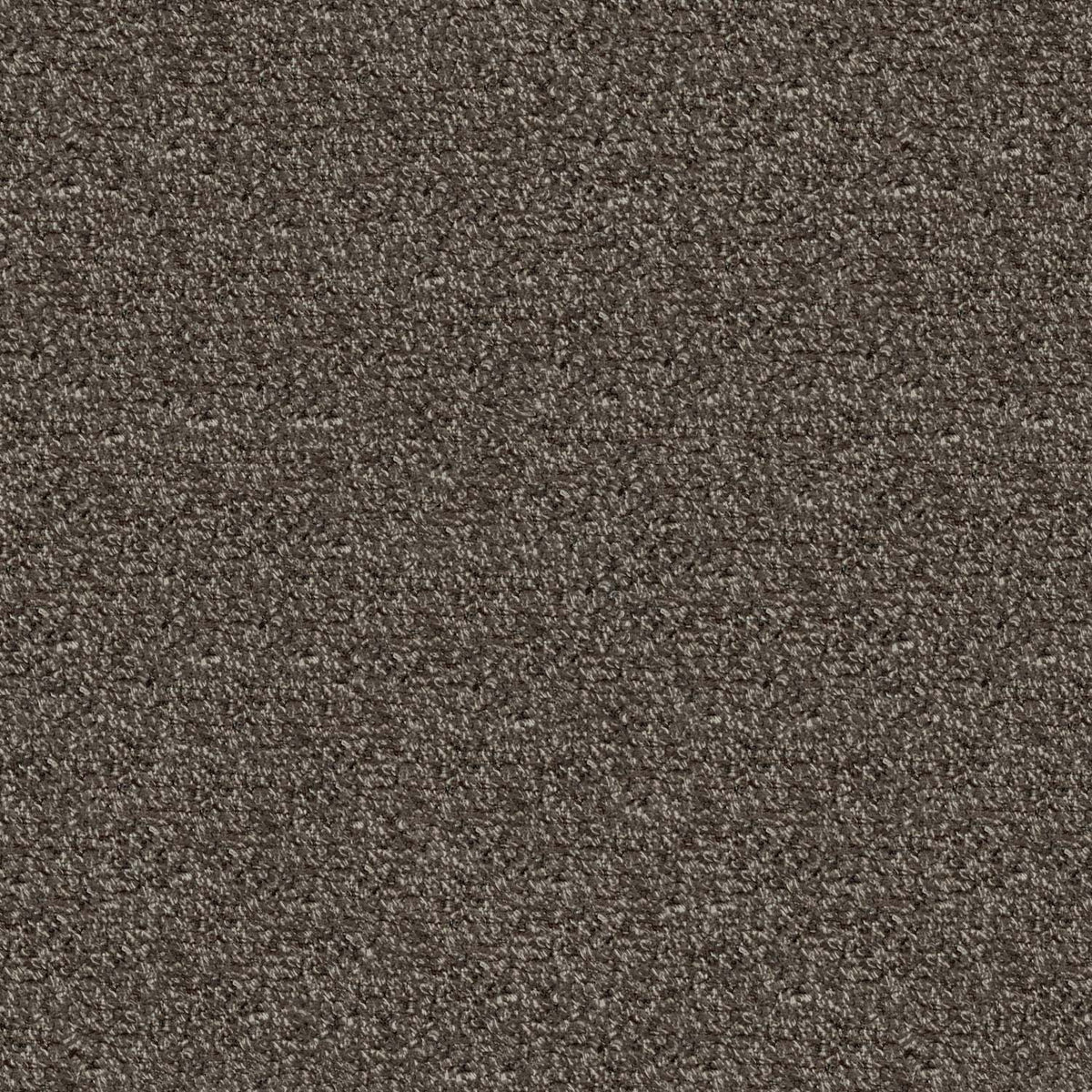 FURRY CAPPUCINO TEXTURE SOFA FABRIC